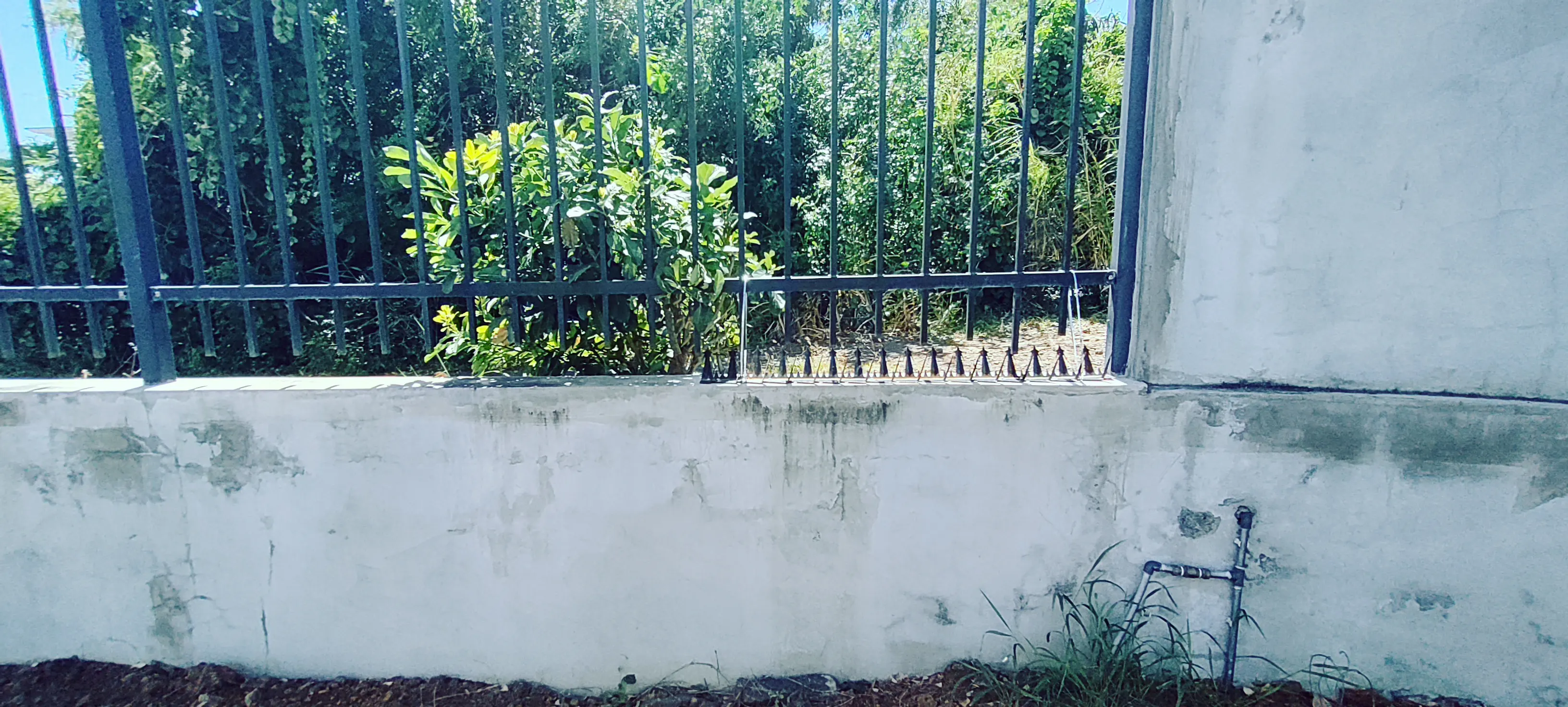 I thought that was the loophole, so I installed a spike on the boundary wall